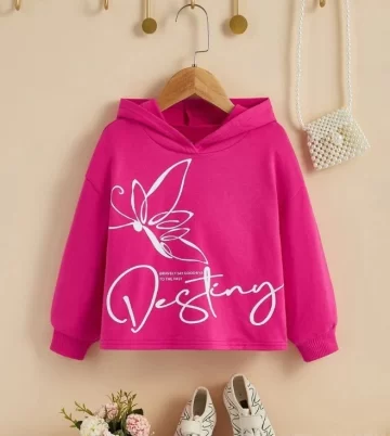 Destiny pink hoodie
